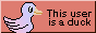 this user is a duck